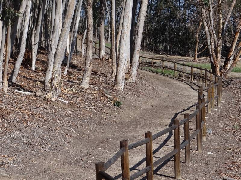 Hiking Trails in Carlsbad California